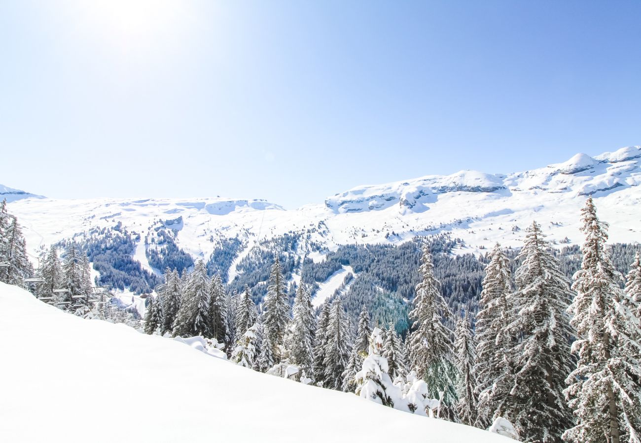 Apartment in Flaine - IRIS