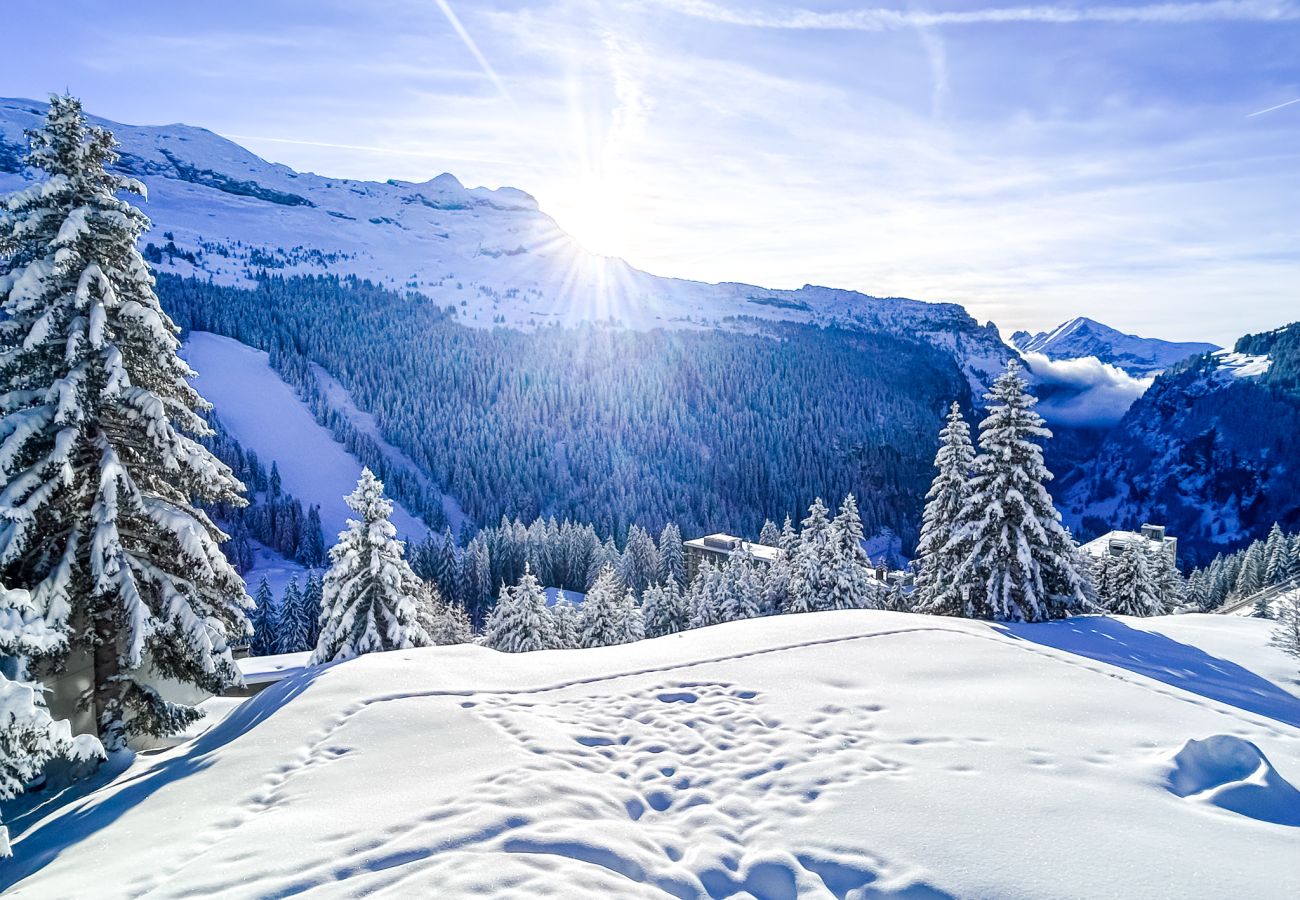 Apartment in Flaine - CATHERINE